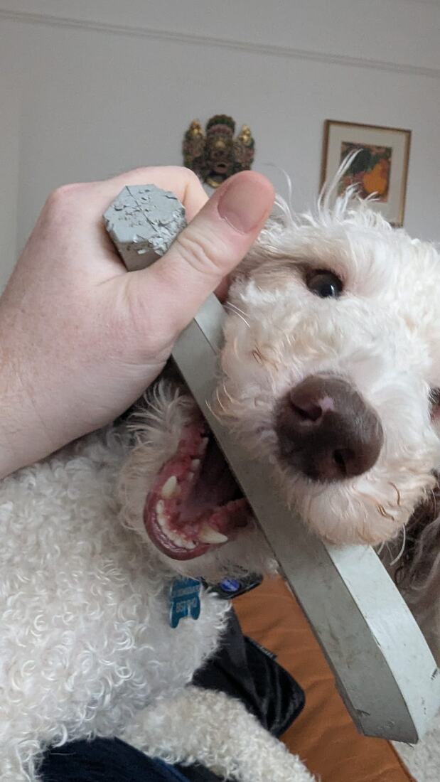 Lexie with her mouth open around a painted wooden stick held by a person’s hand.